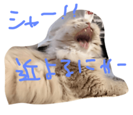 28383321