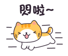 283839134
