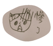 283876676
