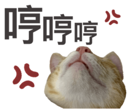 283966769