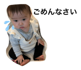 284126646
