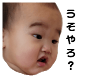 284307713