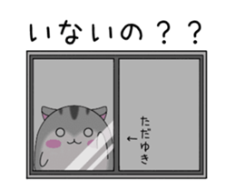 284318164