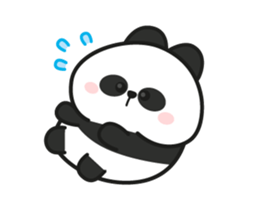 28444325