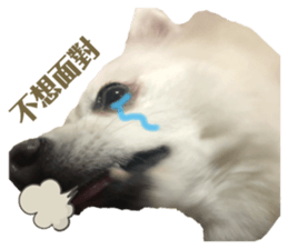 284465065