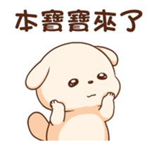 284494070