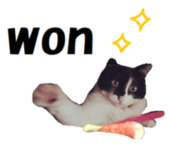 28450094