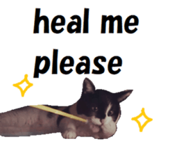 28450115