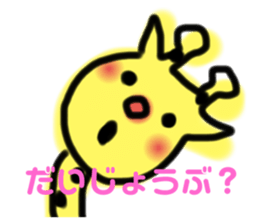 284546812