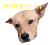 284547354