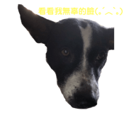 284547358