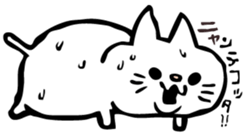 284669116