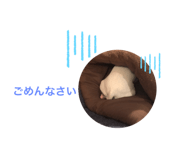 284716019