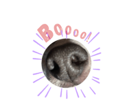 284716020