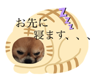 284717526