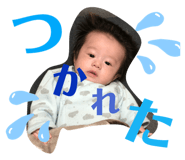 284746486