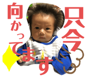 284746497