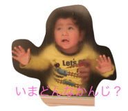 28478050