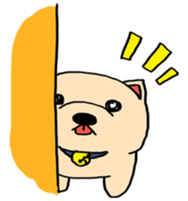 284820742