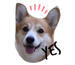 284846284