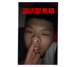 284936878