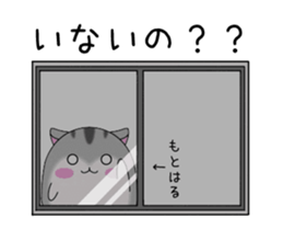 284949212