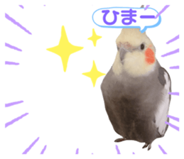 284969636