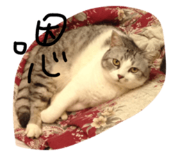28498427