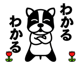 285018520