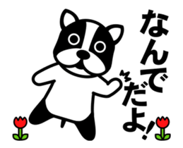285018531
