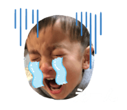 285089592