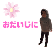 285089620