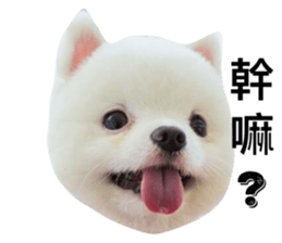 28510032