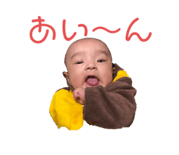 285104019