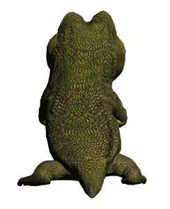 ลายที่ 5