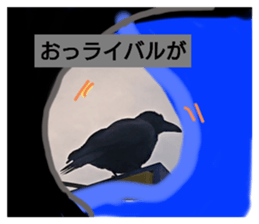 285362897