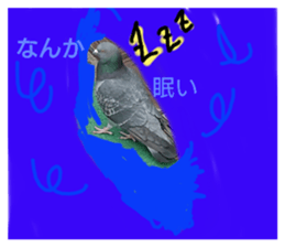 285362899