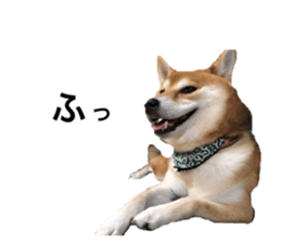 285365865