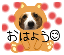 285388158