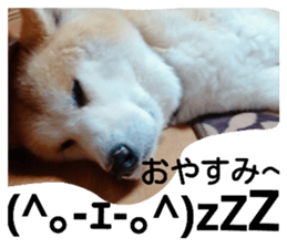 28539318