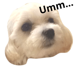 28543322
