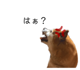 285438953