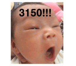 285461231