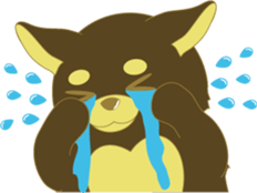 285534