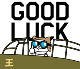 285564629
