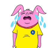 285567569