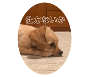 285604385
