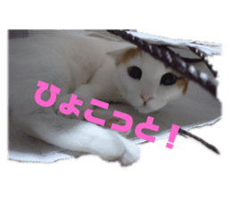 285605785