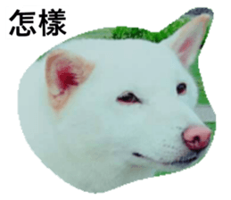 28566697