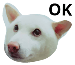 28566699